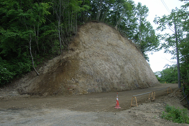 海岸林調査・設計