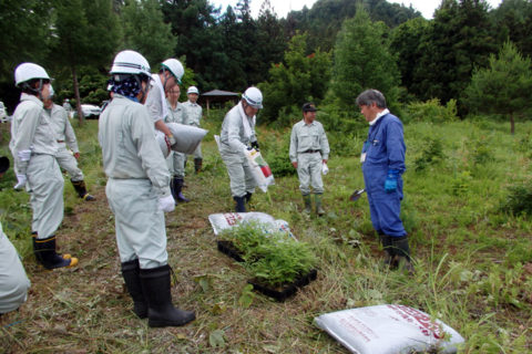 やまがた絆の森　夏季イベント