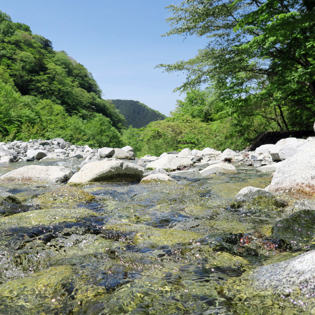 沿革