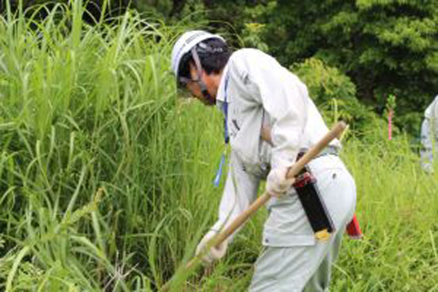 南陽「草木の森」平成29年度夏季イベント