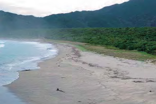 海岸林調査・設計