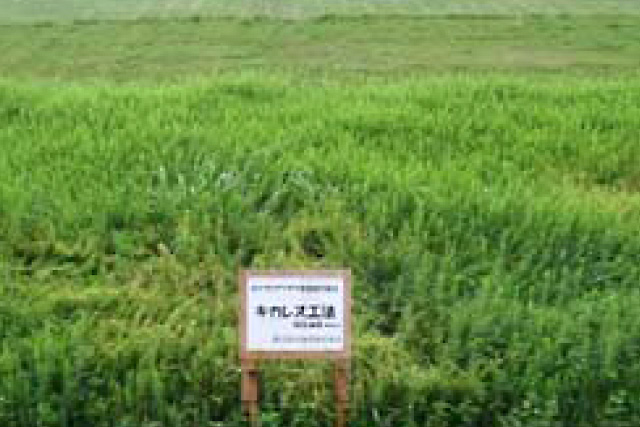 キカレス工法