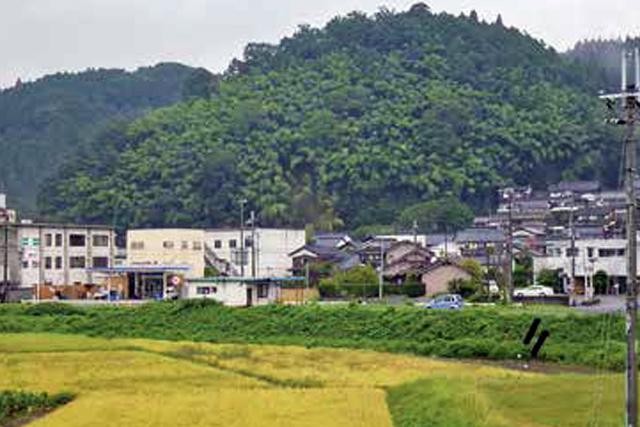 軟弱地盤調査