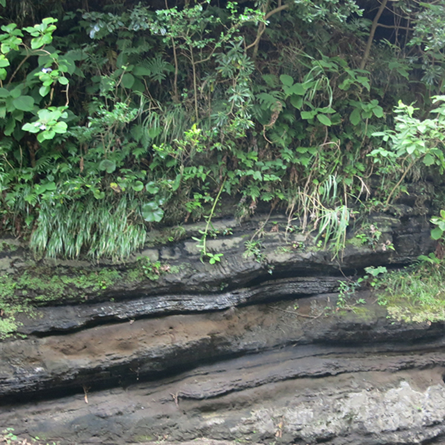 地盤環境分野