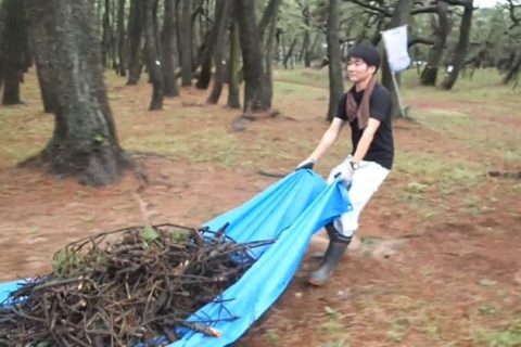虹の松原保全活動