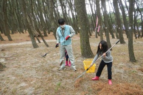 虹の松原保全活動