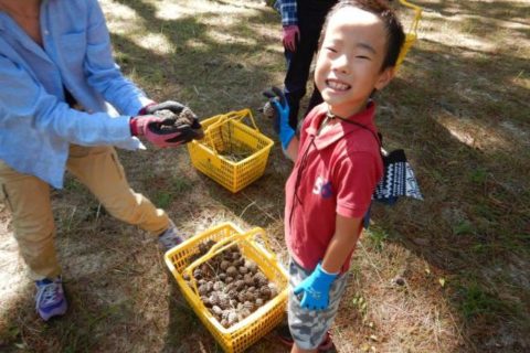 虹の松原再生・保全活動