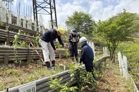 足尾に緑を育てる会