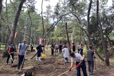 虹の松原再生・保全活動